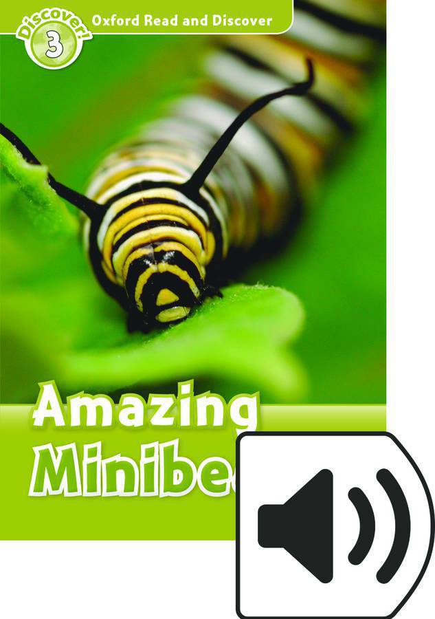 ORD 3:AMAZING MINIBEASTS MP3 PK