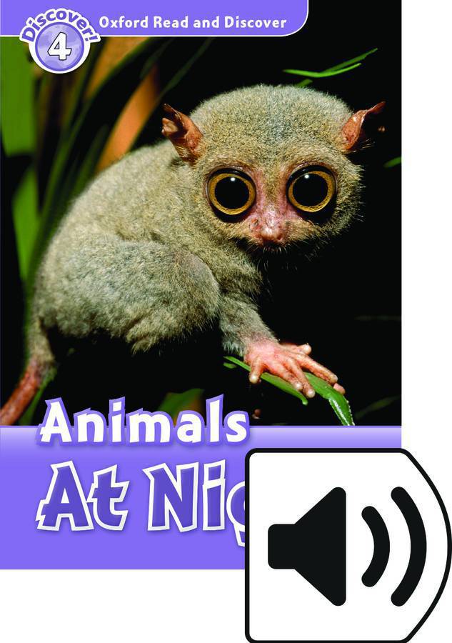 ORD 4:ANIMALS AT NIGHT MP3 PK